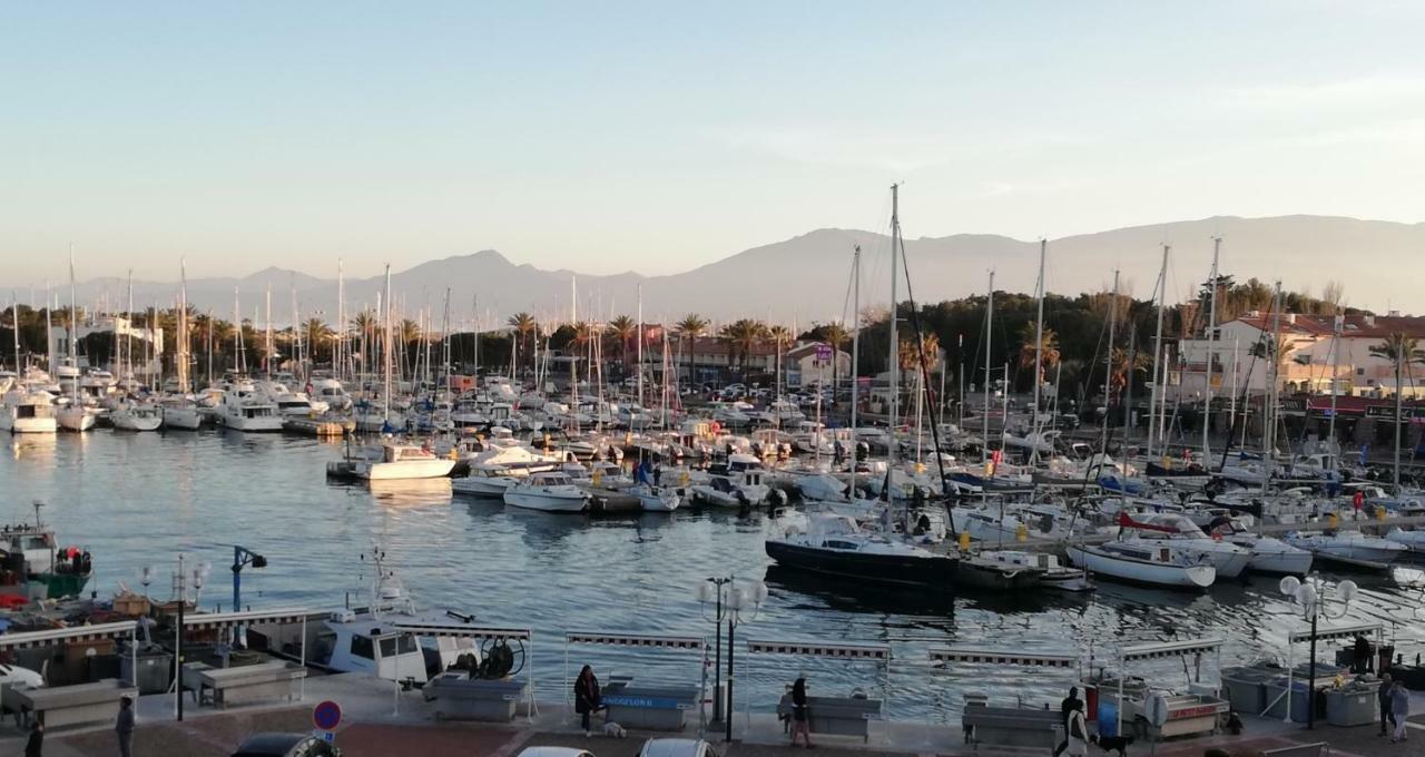 Belle villa classée 4 étoiles proche plage avec jardin Saint-Cyprien  Esterno foto